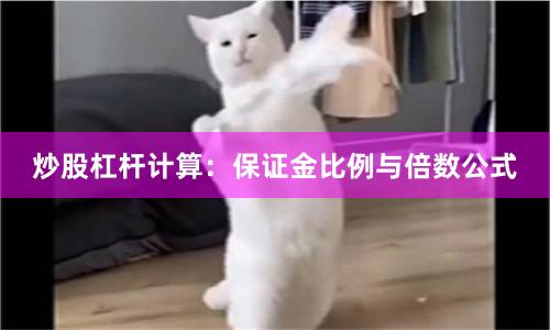 炒股杠杆计算：保证金比例与倍数公式